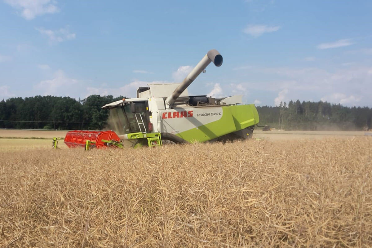 Landwirtschaft KRAML