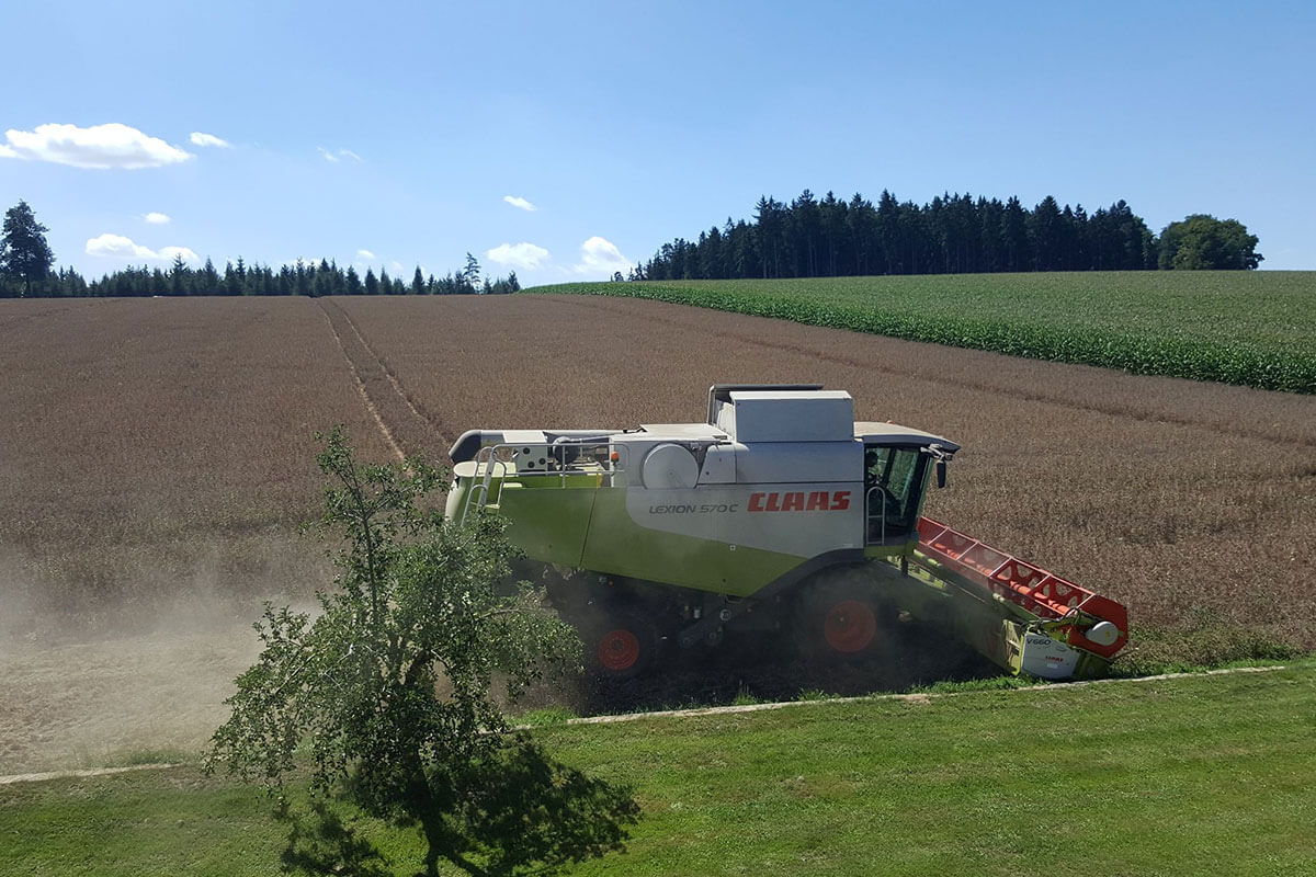 Landwirtschaft KRAML