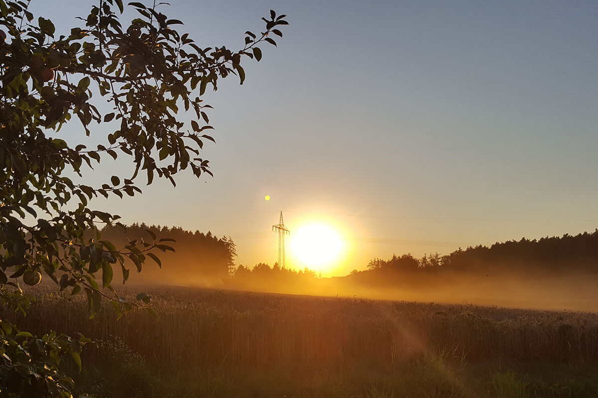 Landwirtschaft KRAML